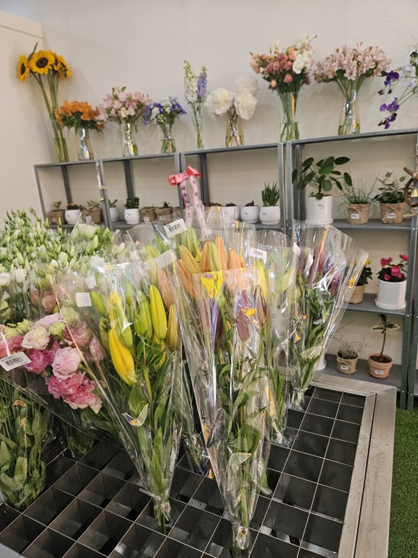 ▲ 서산시 무인 화훼 판매장에 선보인 백합 신품종.ⓒ서산시