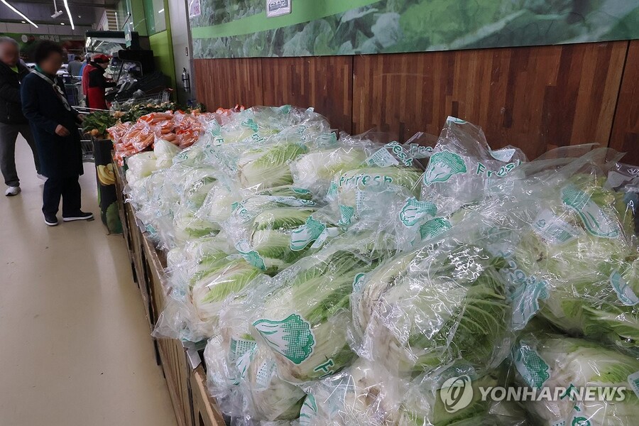 ▲ 배추 판매대ⓒ연합뉴스