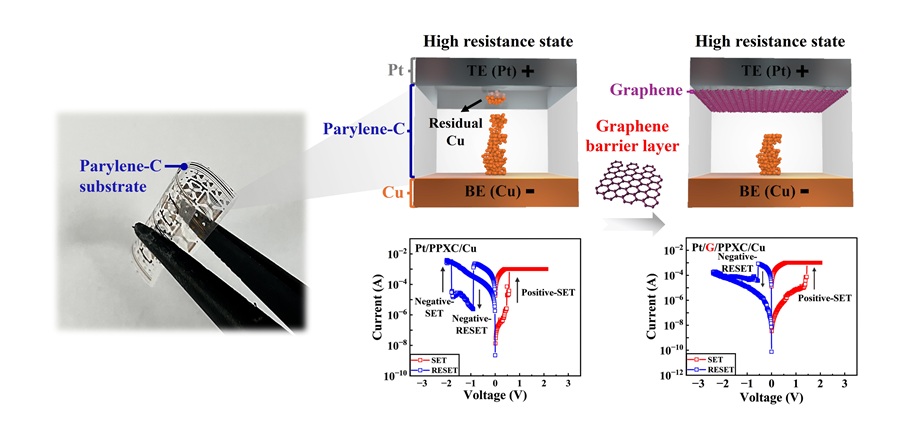 ▲ 유연 Pparylene-C 기반 RRAM 소자(왼쪽), 그래핀 장벽 도입에 따른 전류-전압 특성(오른쪽).ⓒ서울시립대