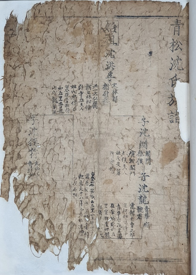 ▲ 청송심씨족보(靑松沈氏族譜), 1545년(을사보), 1책, 목판본. 지난해 확인된 우리나라에서 두 번째로 오래된 옛 족보다. ⓒ한국 족보 유네스코 세계기록유산 등재 추진위원회