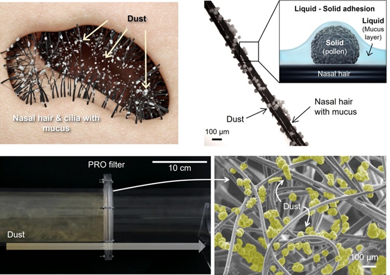 ▲ 흡착강화 필터 모식도.ⓒ중앙대