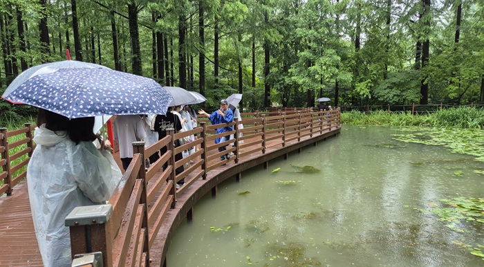 ▲ 1인 가구의 마음 건강과 삶의 질 향상을 위해 숲 테마 힐링 프로그램 ‘마음 건강 챙김-슬로우 워킹’을 10월까지 운영한다.ⓒ유성구