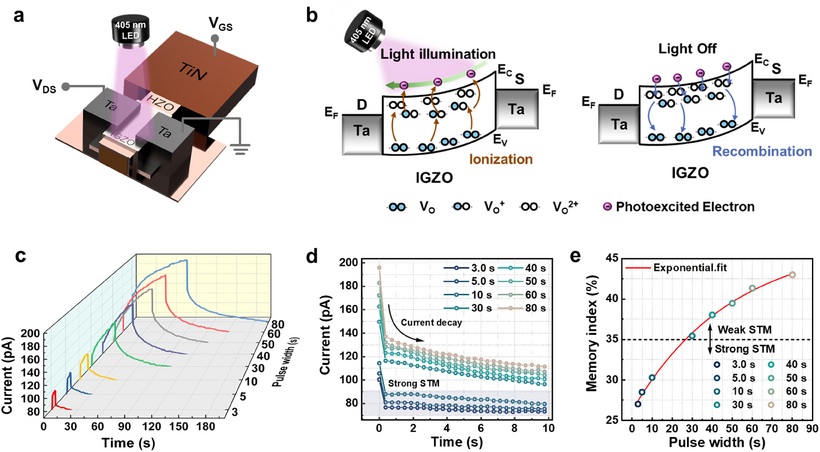 ▲ 광학 제어 FeTFT 소자의 개략도와 빛이 조사될 때와 조사되지 않을 때 IGZO 채널에서 이온화 및 재결합을 담당하는 메커니즘의 개략도 등.ⓒ동국대