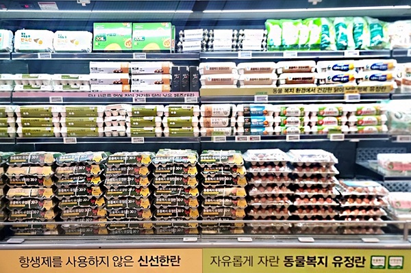 ▲ ⓒ이랜드킴스클럽