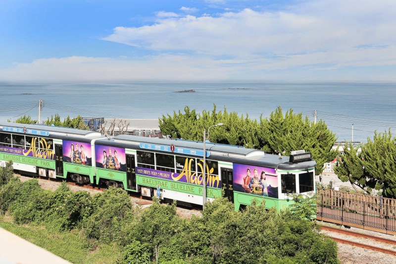▲ 블루라인파크 바다를 배경으로 달리는 '알라딘 소원 열차'.ⓒ에스앤코