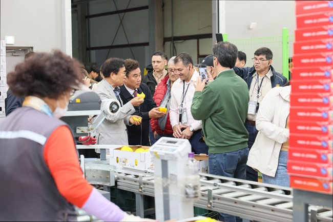 ▲ 카를로스 히메네스 디아스 농림부장관, 마르셀로 곤잘레스 축산부 차관 등 파라과이 고위급 정책 입안자 과정 연수단이 25일 철원 김화농협 APC, RPC 등 선진 농업 시설과 파프리카·토마토 하우스 농가를 견학했다.ⓒ철원군