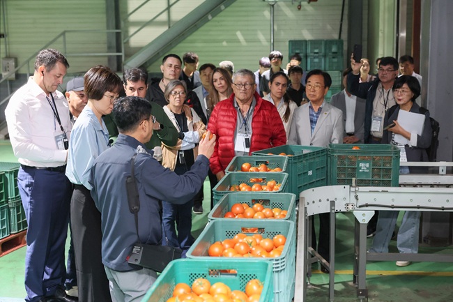 ▲ 카를로스 히메네스 디아스 농림부장관, 마르셀로 곤잘레스 축산부 차관 등 파라과이 고위급 정책 입안자 과정 연수단이 25일 철원 김화농협 APC, RPC 등 선진 농업 시설과 파프리카·토마토 하우스 농가를 견학했다.ⓒ철원군