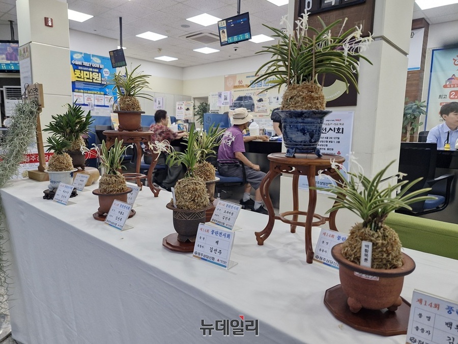 ▲ 청주상당신협이 26일 본점에서 '14회 사랑 나눔 이웃돕기 성금모금 풍란전시회'를 개최했다. ⓒ양승갑 기자