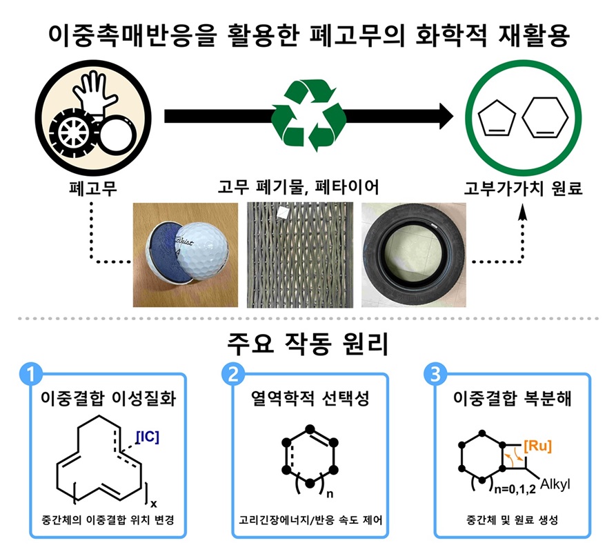 ▲ KAIST 화학과 홍순혁 교수 연구팀이 폐고무의 화학적 재활용 촉매 방법을 개발했다.ⓒKAIST