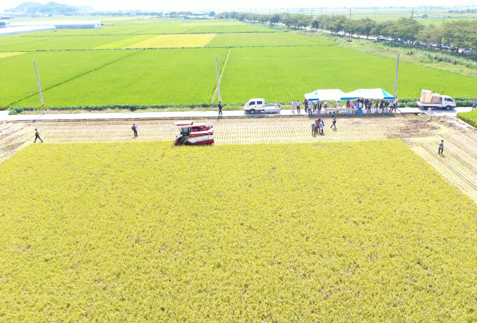 ▲ 부산 강서구 일원 논 전경.ⓒ연합뉴스