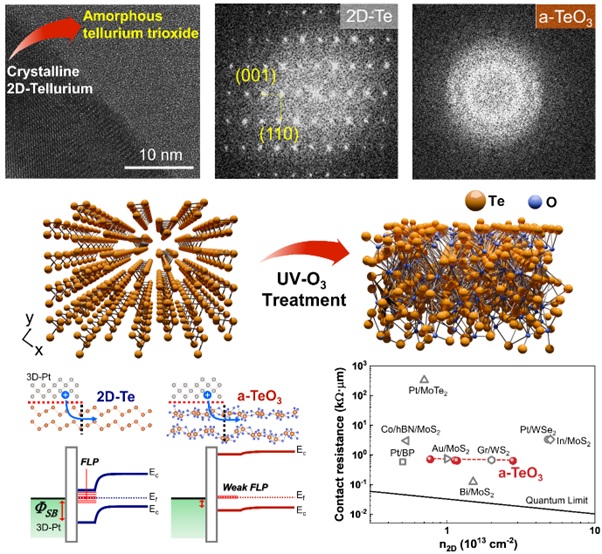 ▲ 결정질 텔루륨에서 비정질 텔루륨 삼산화물로의 상전이현상과 비정질 텔루륨 삼산화물의 우수한 접촉 저항 특성 그래프.ⓒ한양대