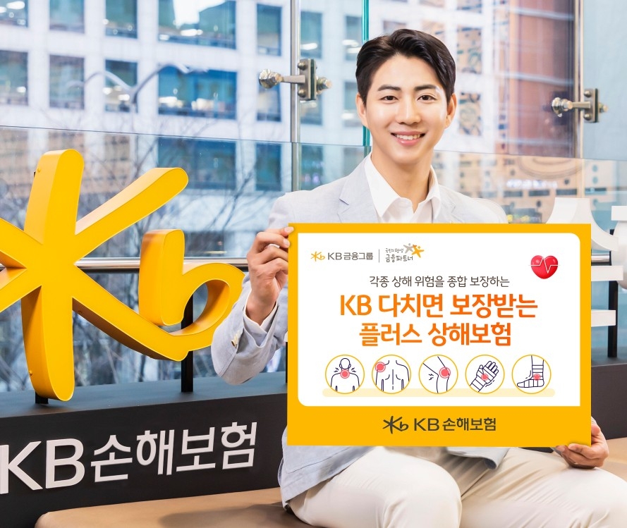 ▲ ⓒKB손보