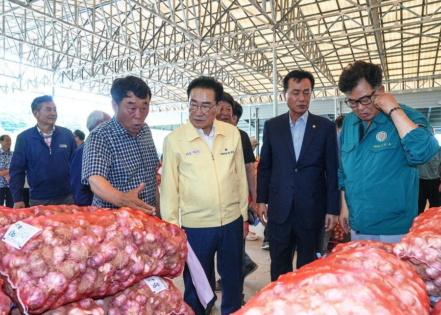 ▲ 영천시는 7월 1일부터 8월 9일까지 일요일을 제외한 오후 1시에 신녕농협 마늘경매식집하장(신녕면 장수로 2075)에서 2025년 햇마늘 경매를 진행한다.ⓒ영천시