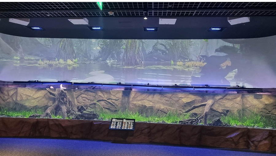 ▲ 단양 ‘다누리아쿠아리움’ 에코리움 열대우림 수조. ⓒ단양군