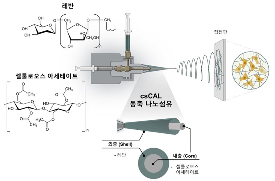 ▲ 주계일 교수팀 연구성과 이미지.ⓒ이화여대