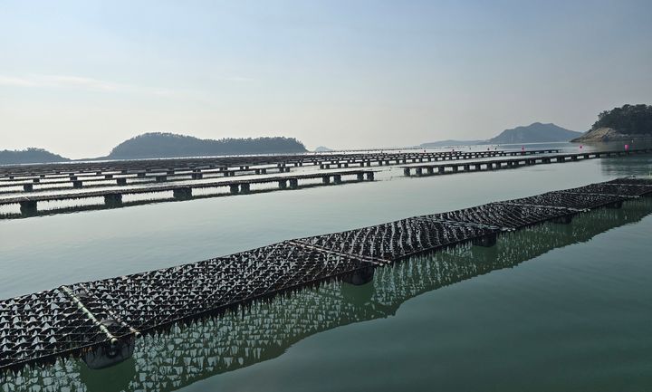 ▲ 김 양식장 전경.ⓒ뉴시스