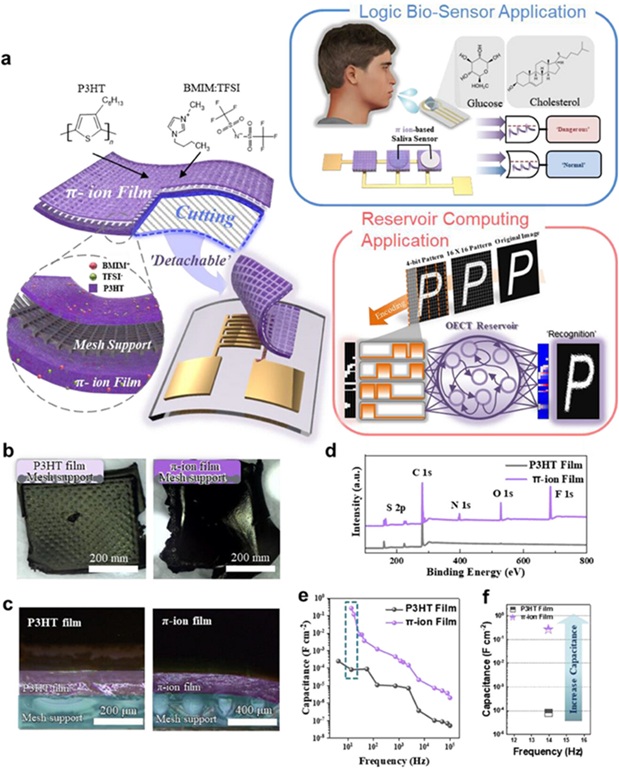 ▲ 개발 소자의 구조도 및 분리할 수 있는 유기 전해질 반도체 교체 개략도 등.ⓒ한양대