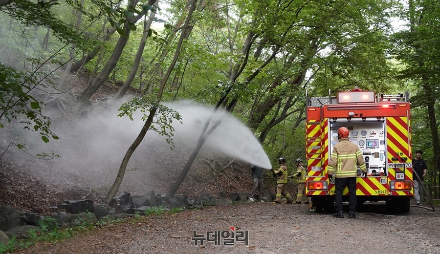 <b>러브버그</b>에 <b>민원</b> 4000건 <b>폭주</b> … 서울시, 결국 방제 추진