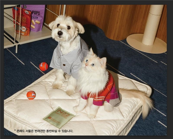 ▲ 콘래드 서울 X 쪼꼬미ⓒ콘래드 서울