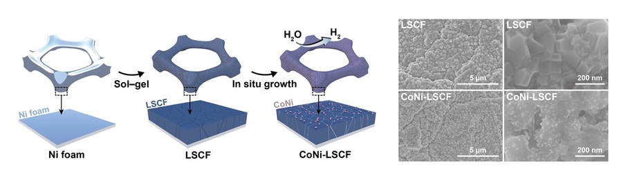 ▲ CoNi-LSCF 전극의 합성 모식도(왼쪽)와 표면 이미지.ⓒ고려대