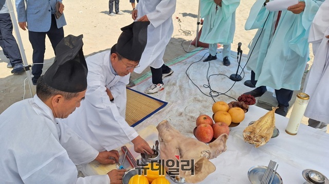 ▲ 지난 12일 청하면 월포해수욕장번영회가 주최한 ‘2025년 동해안 최고의 명품 월포해수욕장 개장식’ 식전행사인 어룡제를 거행하고 있다.ⓒ뉴데일리