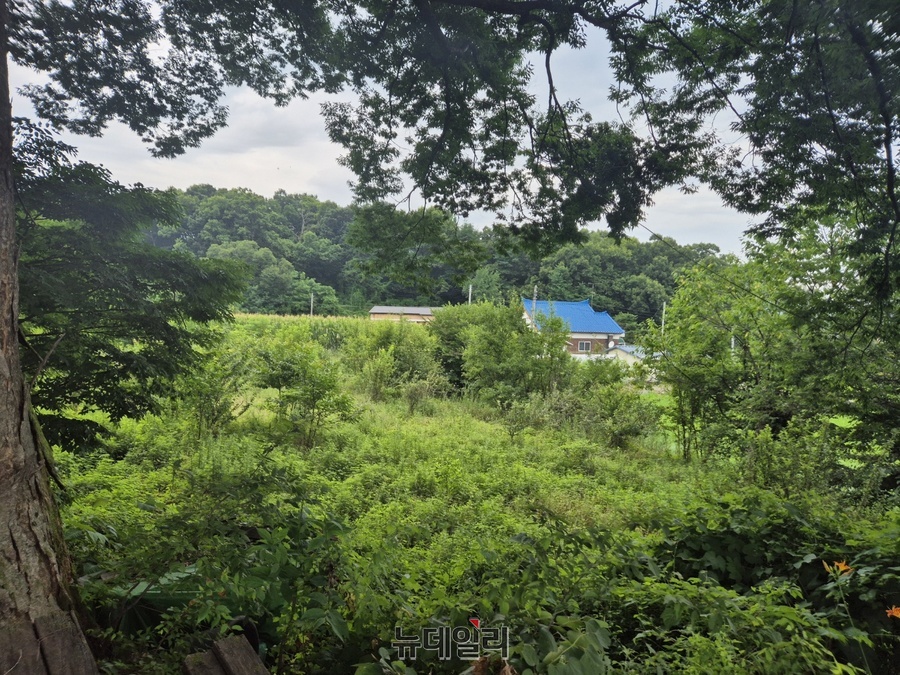 ▲ 경기도 안성시 고삼면에 있는 조은석 특별검사의 농지를 지난 13일 촬영한 모습. 농사를 지은 흔적은 찾아볼 수 없다. ⓒ안성(경기)=오승영 기자