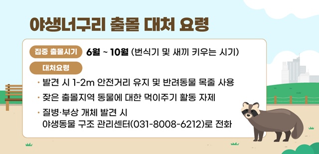 ▲ 안양시의 야생너구리 출몰 시 대처 방안 안내. ⓒ안양시 제공