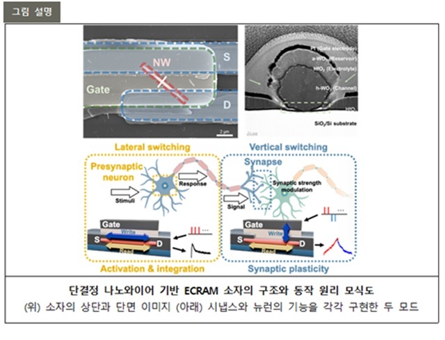 ▲ 연구 관련 그림.ⓒ포스텍