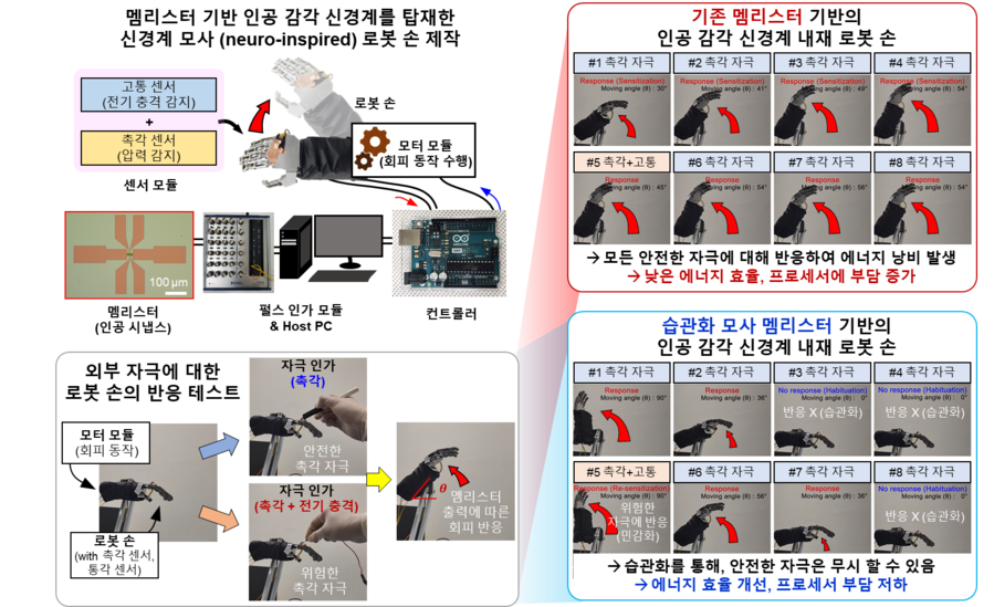 ▲ KAIST와 충남대학교 공동연구팀이 개발한 멤리스터 소자 기반의 인공 감각 신경계를 탑재한 로봇 손 실험결과.ⓒKAIST