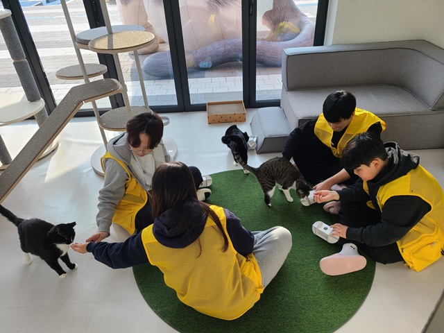 ▲ 경기도가 진행한 반려마루 화성의 청소년 대상 '유기동물과 함께하는 생명존중교육 연계 봉사활동'. ⓒ경기도 제공