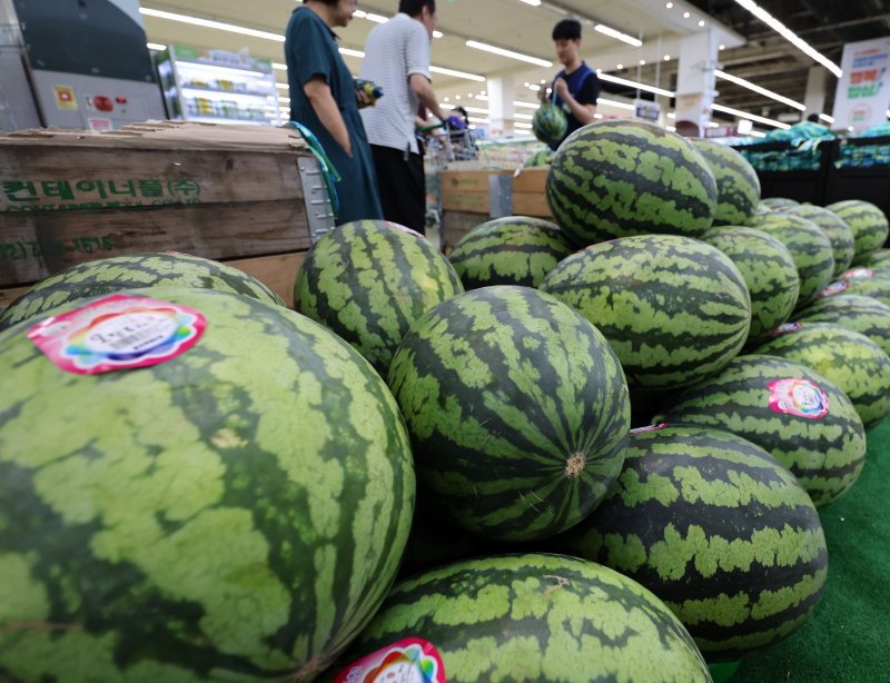 ▲ 서울 서초구 농협유통 하나로마트 양재점에서 수박이 판매되고 있다.ⓒ뉴시스