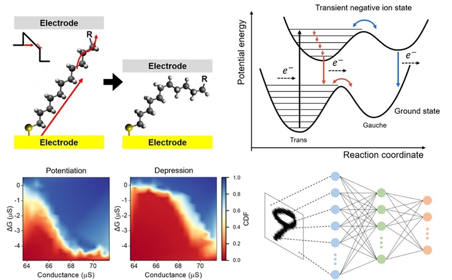 ▲ 분자 멤리스터의 구동 원리 및 인공시냅스 특성.ⓒ서강대