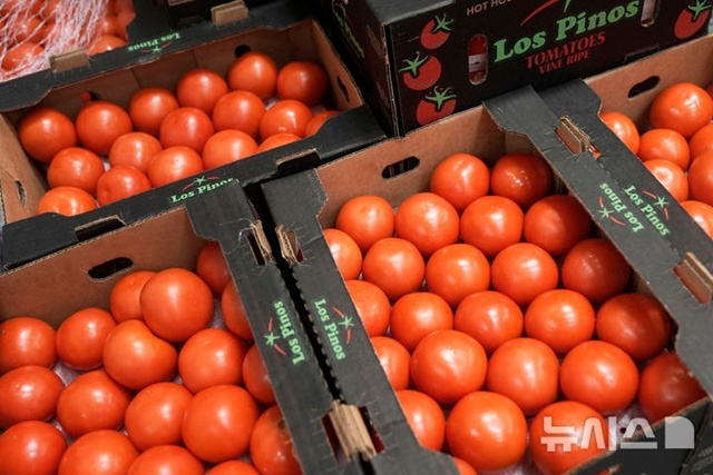 ▲ 미국 캘리포니아 샌프란시스코의 마린 푸드뱅크에 토마토 상자가 진열돼 있다. 250702 AP/뉴시스. ⓒ뉴시스