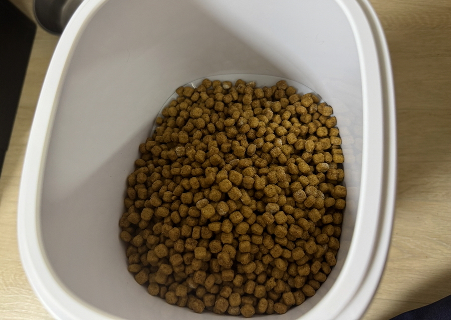 ▲ 급식기 통에 사료를 넣고 있는 모습. ⓒ김재홍 기자