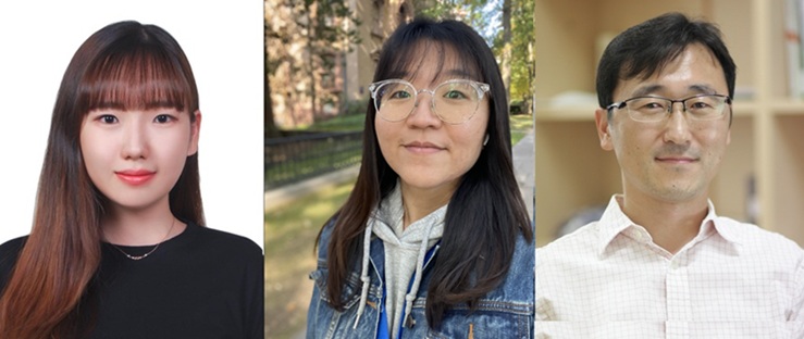 ▲ 왼쪽부터 최다이 석사과정생, 임지연 박사후연구원(이상 제1저자), 오정수 융합교수(교신저자).ⓒ성균관대