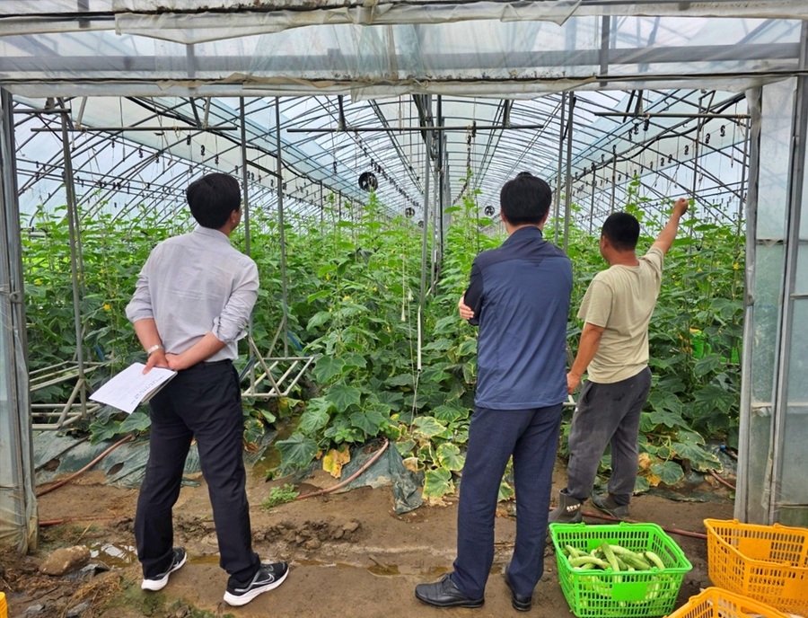 ▲ 충북농업기술원이 집중호우로 침수 등 농작물 피해를 입은 농가를 대상으로 신속한 복구와 작물 생육 회복을 위해 현장 기술지원단을 운영해 지원하고 있다.ⓒ충북도