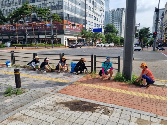 ▲ 광교1동 통장협의회 회원들이 집중호우 이후 무성하게 자란 잡초를 제거하고 있다. ⓒ수원시 제공