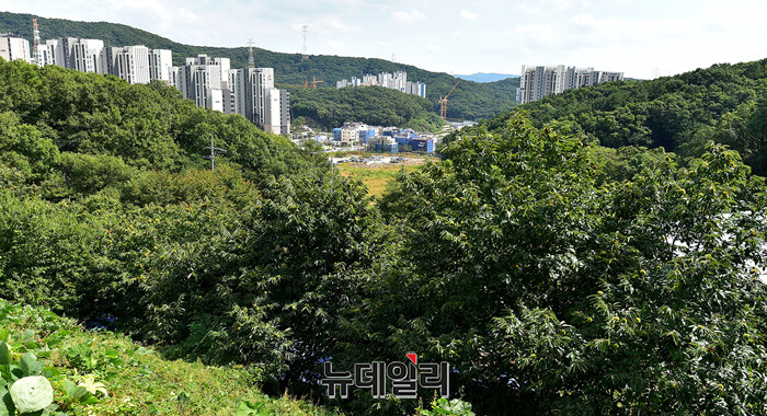 ▲ 서울 인근 그린벨트와 아파트 전경. ⓒ뉴데일리DB