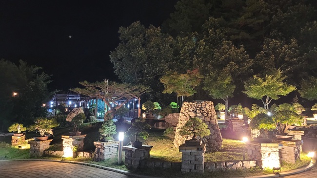 ▲ 양구군이 여름휴가 및 방학 시즌을 맞아 오는 26일부터 8월 24일까지 양구수목원 야간 개장을 시행한다. ⓒ양구군