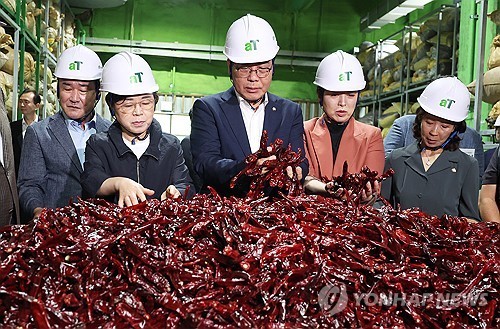 ▲ 송언석 국민의힘 비상대책위원장 겸 원내대표가 25일 경기도 이천시 대월면 aT 한국농수산식품유통공사 이천비축기지를 방문해 비축 고추 등을 살펴보고 있다. ⓒ연합뉴스