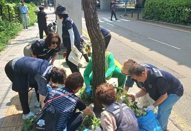 ▲ 경기 수원시 율천동 관계자들이 25일 율천동 행정복지센터 일대에서 제초작업을 진행하고 있다. ⓒ수원시 율천동 제공
