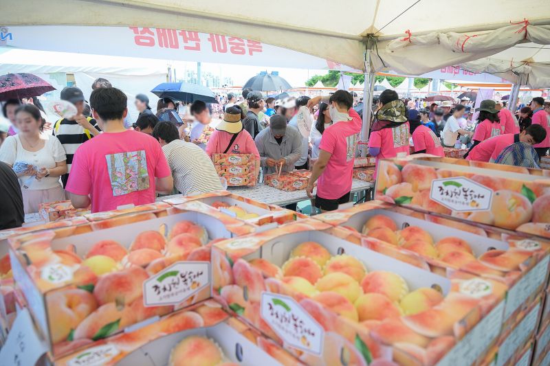 ▲ 복숭아판매장 모습.ⓒ세종시