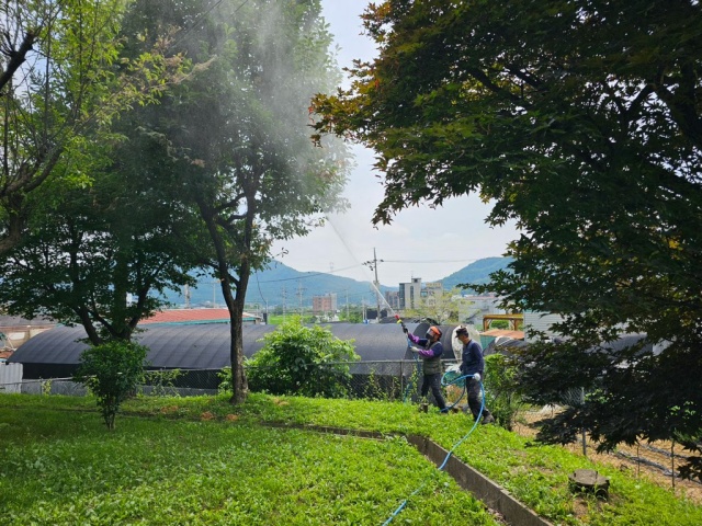 ▲ 용인시 관계자가 돌발병해충 집중 방제를 하고 있다. ⓒ용인시 제공
