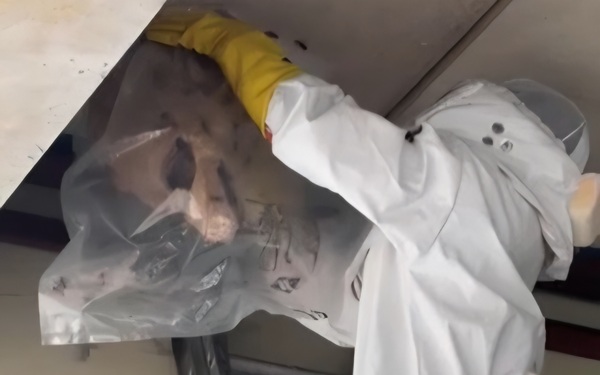 ▲ 대전 소방 “여름철 벌 쏘임 주의”ⓒ대전시