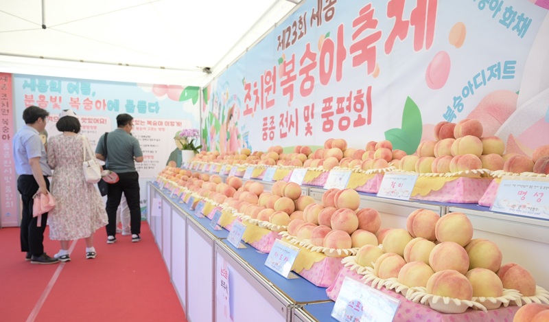 ▲ 조치원복숭아 품평회 모습.ⓒ세종시