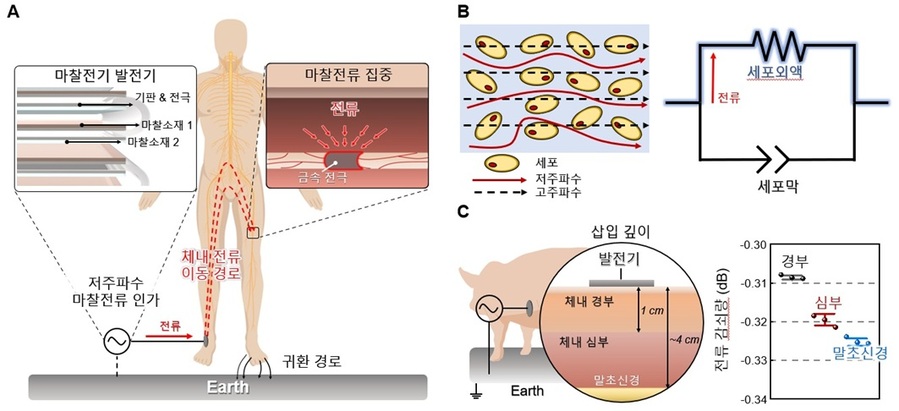 ▲ 체내 전류 이동 경로 제어를 통한 신경치료 기술 개요.ⓒ연세대