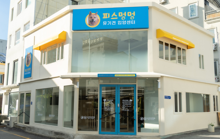 ▲ ‘유기견 입양센터’ 조성ⓒ광주시 동구청 제공