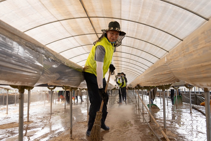 ▲ 강태영 은행장(가운데)을 비롯한 농협은행 임직원들이 29일 충남 당진을 찾아 관내 농축협 임직원들과 함께 피해복구에 구슬땀을 흘렸다. ⓒNH농협은행
