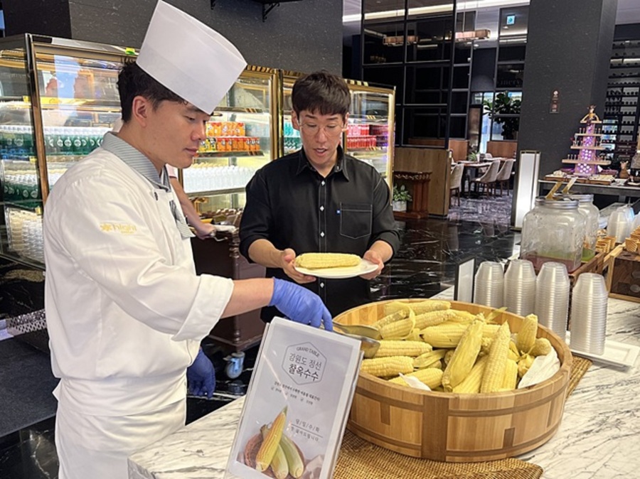 ▲ 강원랜드 하이원리조트 식음욕장에서는 내달 중순까지 정선 옥수수를 제공한다.
ⓒ강원랜드