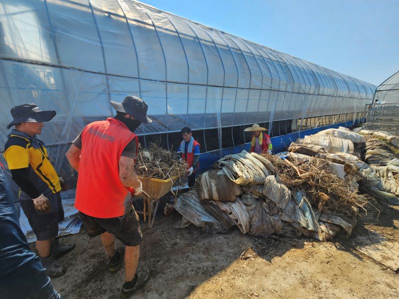 ▲ 수해현장에서 자원봉사자들이 복구에 구슬땀을 흘리고 있다.ⓒ천안시